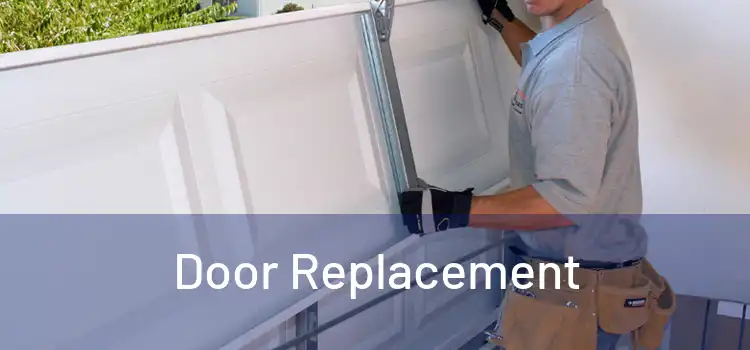 Door Replacement 